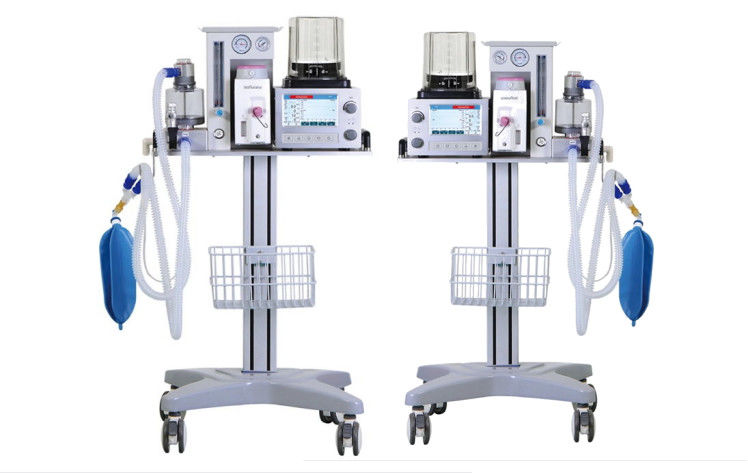 سیستم تهویه بیهوشی دامپزشکی DM6B AC 100-240 ولت صفحه نمایش LCD رنگی 7 اینچی